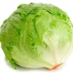 iceberg lettuce